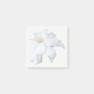 White Gardenia Sticky Notes ポストイット