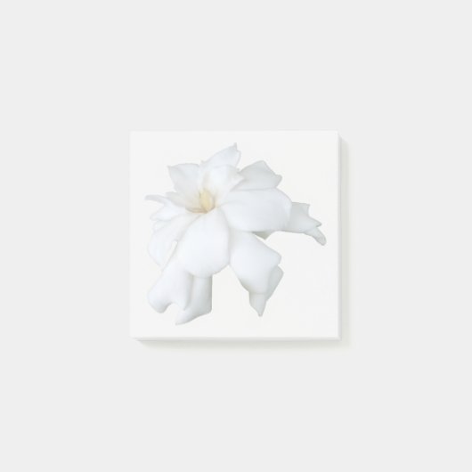 White Gardenia Sticky Notes ポストイット (正面)