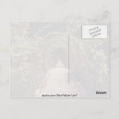White Generalife, The Alhambra, Granada,スペインflo ポストカード (裏面)