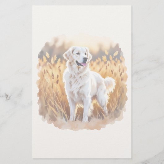 White Golden Retriever Dog 便箋 (裏面)