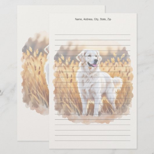 White Golden Retriever Dog 便箋 (正面/裏面)