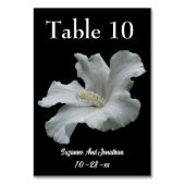 White Hibiscus Flower Wedding  テーブルナンバー (裏面)