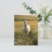 White Horse in Wildflower Meadow Postcard シーズンポストカード (スタンド正面)