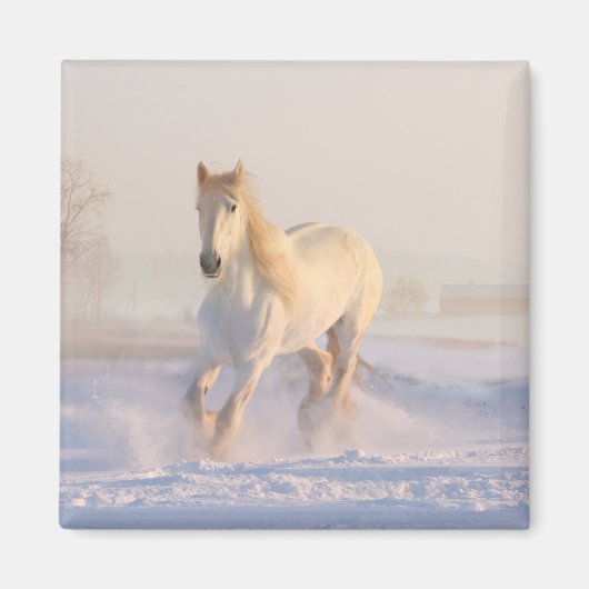 White Horse Lover Western Equestrian Farm Pony マグネット (正面)