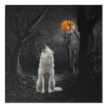 White Howling Wolf  Dark Forest Moonlight Forest