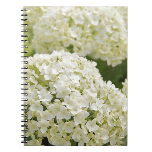 White Hydrangea ノートブック (正面)