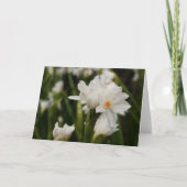 White Jonquils Greeting Card 案内状 (正面)