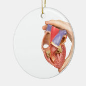 white.jpgのモデル開いた人間のハートを保持する手 セラミックオーナメント (左)