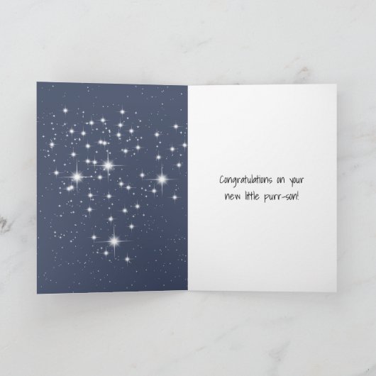 White Kitten Hanging from Tulle Hammock and Cloud カード (内部)