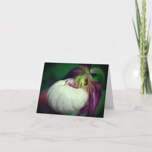 White Lady Slipper Orchid Flower Photography Note カード (正面)