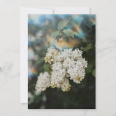 White Lilac Flowers with Rainbow Flare card (正面)
