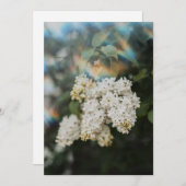 White Lilac Flowers with Rainbow Flare card (正面/裏面)