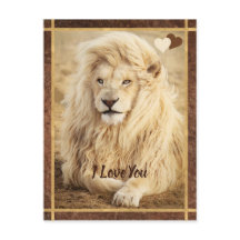 White Lion Photo I Love You