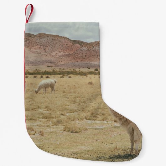 WHITE LLAMA ON BROWN GRASS スモールクリスマスストッキング (正面)