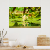 White Lotus Water Garden Poster ポスター (キッチン)