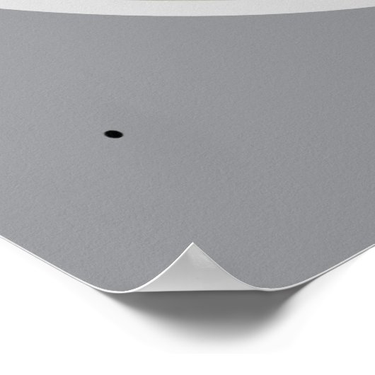                          White Magnolia            ポスター (角)