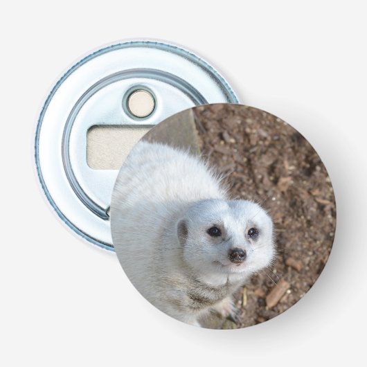 White_Meerkatルッキング、磁気ボトルオープナー 栓抜き (正面)