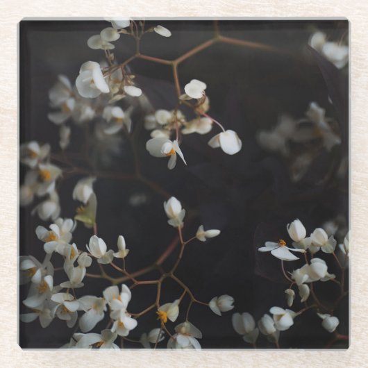 White moody flowers on dark background ガラスコースター (正面)
