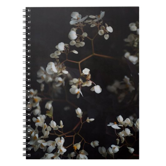 White moody flowers on dark background ノートブック (正面)