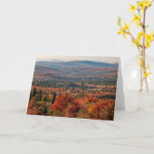 White Mountains National Forest | New Hampshire カード (黄色い花)