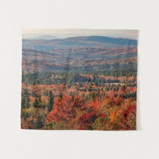 White Mountains National Forest | New Hampshire タペストリー (正面(横))