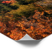 White Mountains National Forest | New Hampshire ポスター (角)