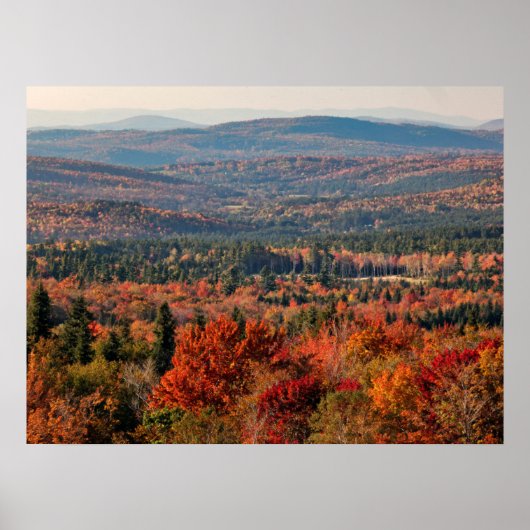 White Mountains National Forest | New Hampshire ポスター (正面)