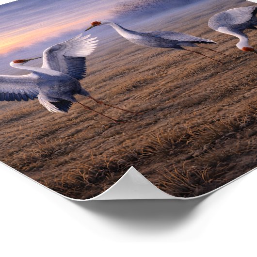 White-naped Cranes in a Winter Plain –   ポスター (角)