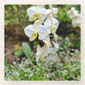White Orchid ガラスコースター (正面)