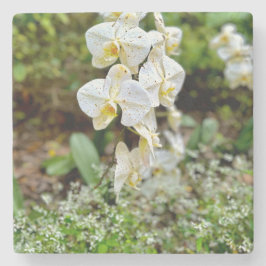 White Orchid ストーンコースター