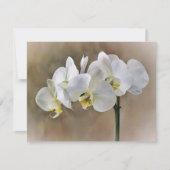 White Orchid Flowers Art Note Card Set  ノートカード (正面)