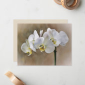 White Orchid Flowers Art Note Card Set  ノートカード (正面/裏面インサイチュ)