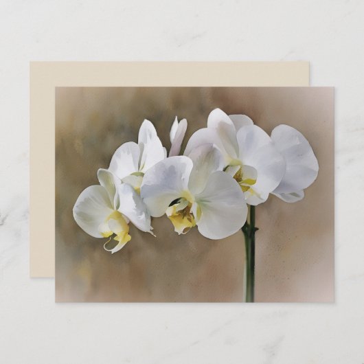 White Orchid Flowers Art Note Card Set  ノートカード (正面/裏面)