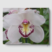 White Orchid II Elegant Floral ゲストブック (裏面)