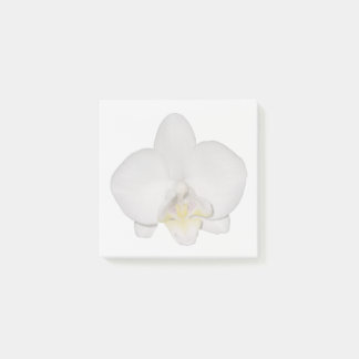 White Orchid Sticky Notes ポストイット