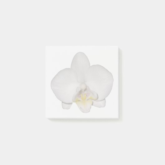 White Orchid Sticky Notes ポストイット (正面)