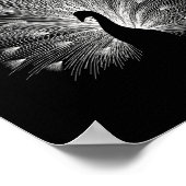 White peacock ポスター (角)