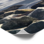 White Pelican ポスター (角)