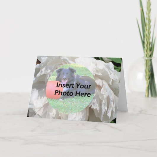 White Peony Flower Petals Frame Photo カード (正面)