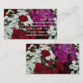 White, Pink and Red Dianthus Floral 名刺 (正面/裏面)