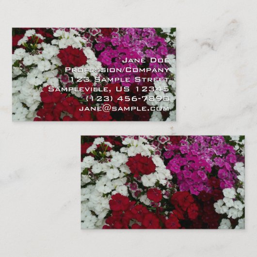 White, Pink and Red Dianthus Floral 名刺 (正面/裏面)
