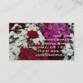 White, Pink and Red Dianthus Floral 名刺 (正面)