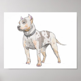 White Pit Bull Dog Watercolor Sketch ポスター