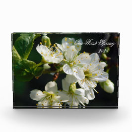 White Plum Blossom Macro | Personalized Photo Bloc フォトブロック