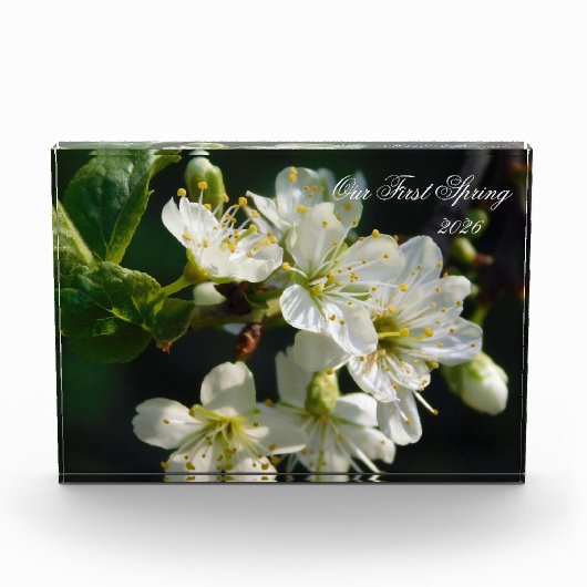 White Plum Blossom Macro | Personalized Photo Bloc フォトブロック (正面)