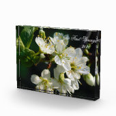 White Plum Blossom Macro | Personalized Photo Bloc フォトブロック (右)