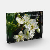 White Plum Blossom Macro | Personalized Photo Bloc フォトブロック (左)
