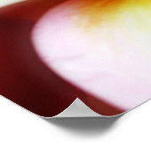 White Plumeria Frangipani Hawaii Flower Hawaiian ポスター (角)