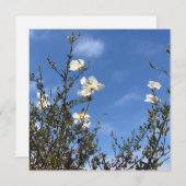 White Poppies Against the Sky Greeting Card 招待状 (正面/裏面)
