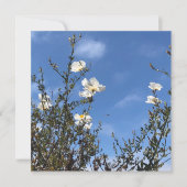 White Poppies Against the Sky Greeting Card 招待状 (正面)